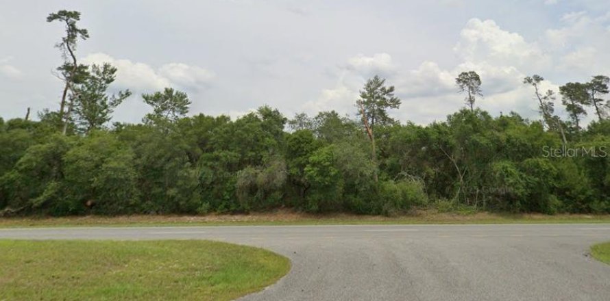 Terrain à Ocala, Floride № 2148606
