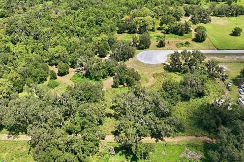 Terrain à vendre à Myakka City, Floride № 2324391 - photo 8