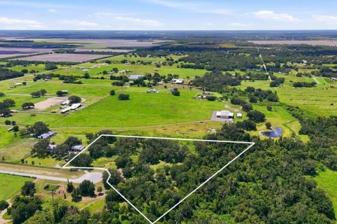 Terrain à Myakka City, Floride № 2324391
