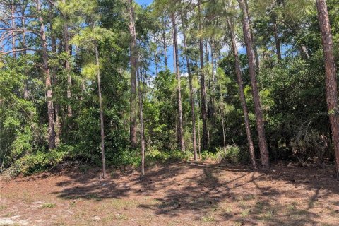 Land in Indian lake estates, Florida № 2159239 - photo 4