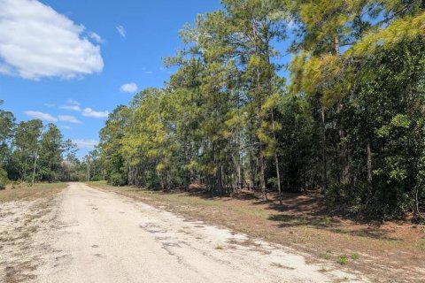 Land in Indian lake estates, Florida № 2159239 - photo 7