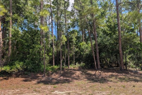 Land in Indian lake estates, Florida № 2159239