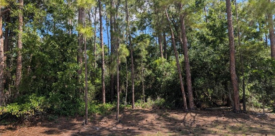 Land in Indian lake estates, Florida № 2159239