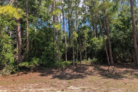 Land in Indian lake estates, Florida № 2159239 - photo 6
