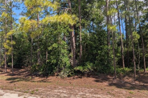Land in Indian lake estates, Florida № 2159239 - photo 2