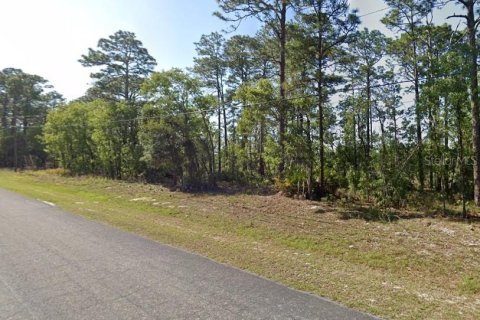 Land in Citrus Springs, Florida № 2161646