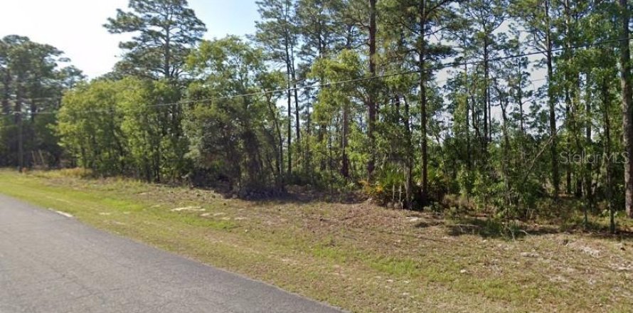 Land in Citrus Springs, Florida № 2161646