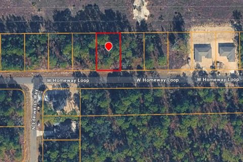 Land in Citrus Springs, Florida № 2161646 - photo 3