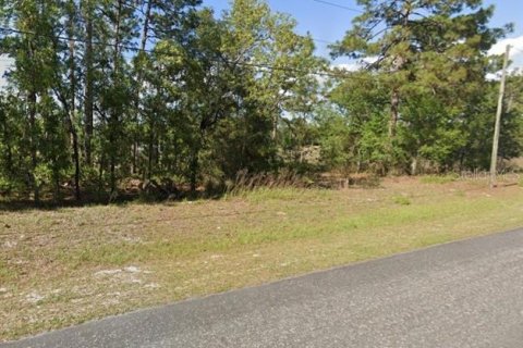 Land in Citrus Springs, Florida № 2161646 - photo 2