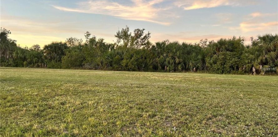Land in Punta Gorda, Florida № 2224235