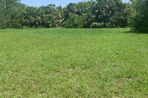 Land in Punta Gorda, Florida № 2224235 - photo 5