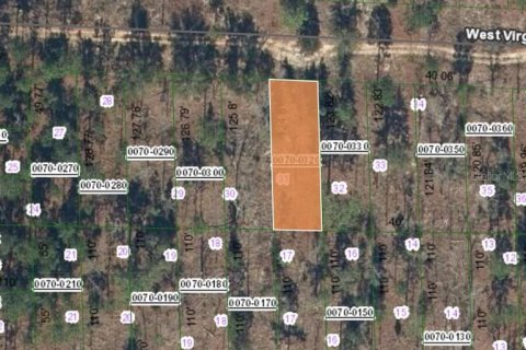 Land in Hawthorne, Florida № 2164931