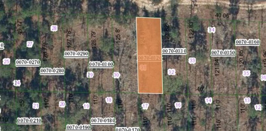 Land in Hawthorne, Florida № 2164931