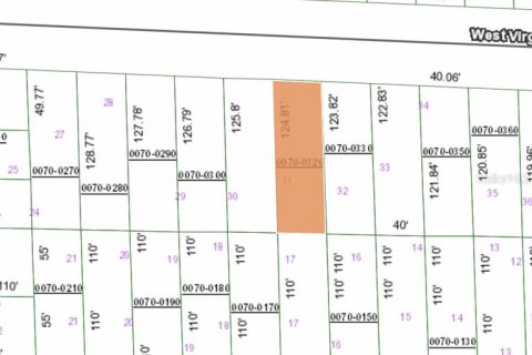 Land in Hawthorne, Florida № 2164931 - photo 3