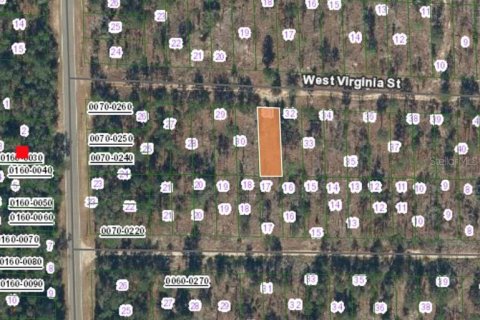 Land in Hawthorne, Florida № 2164931 - photo 2