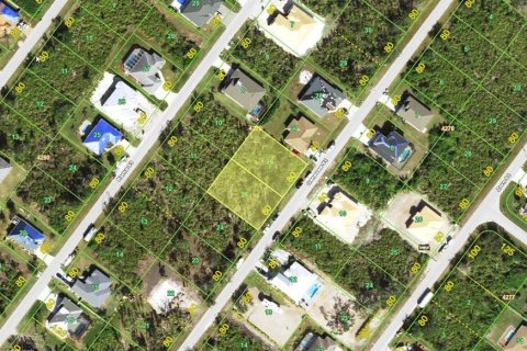 Land in Port Charlotte, Florida № 2166118 - photo 4