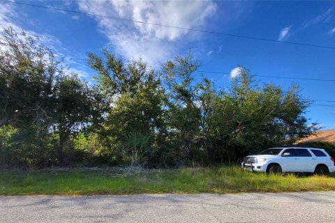 Land in Port Charlotte, Florida № 2166118 - photo 5