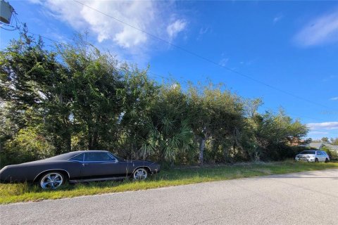 Land in Port Charlotte, Florida № 2166118 - photo 2