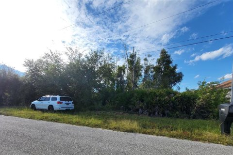 Land in Port Charlotte, Florida № 2166118 - photo 7