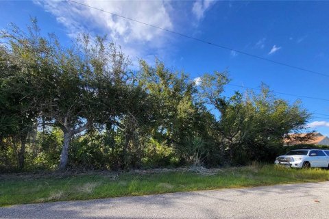 Land in Port Charlotte, Florida № 2166118 - photo 3