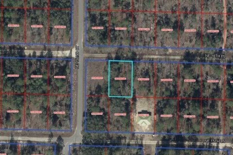 Land in Williston, Florida № 2162354 - photo 7