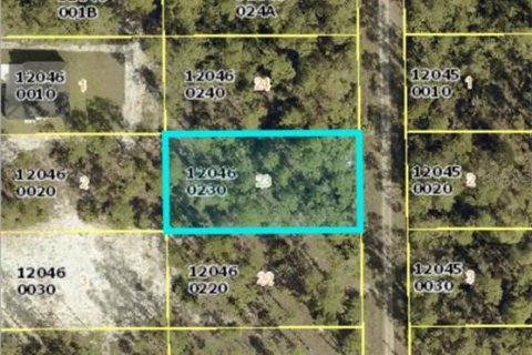 Land in Lehigh Acres, Florida № 2161121