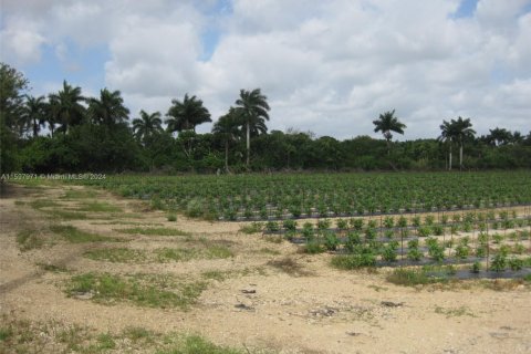 Land in Homestead, Florida № 1961879 - photo 3