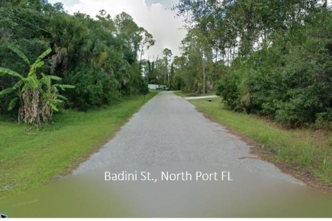 Land in North Port, Florida № 2232693 - photo 2