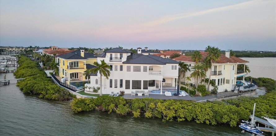 Casa en Tampa, Florida 4 dormitorios, 412.49 m2 № 2217747