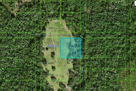 Terreno en Polk City, Florida № 2163949