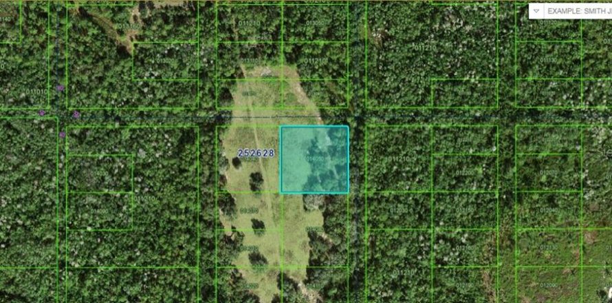 Terreno en Polk City, Florida № 2163949