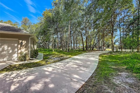 House in Oxford, Florida 3 bedrooms, 232.26 sq.m. № 2339554 - photo 10
