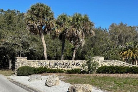 Copropriété à louer à Tarpon Springs, Floride: 2 chambres, 91.04 m2 № 2099698 - photo 3