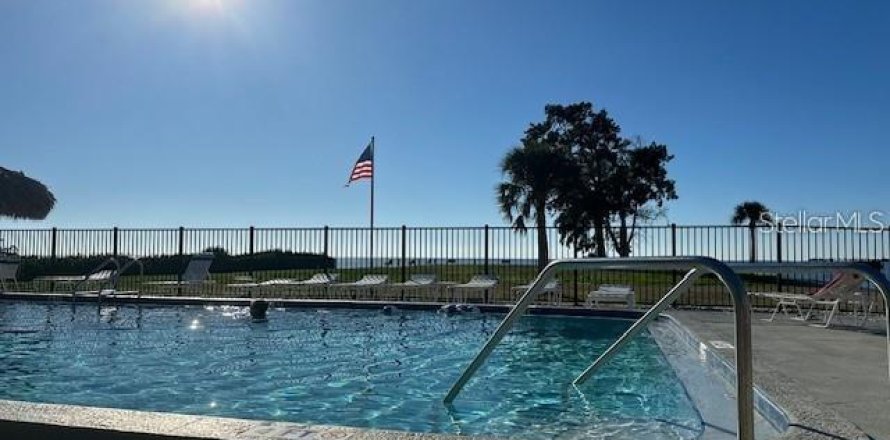 Condo à Tarpon Springs, Floride, 2 chambres № 2099698