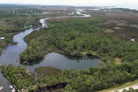 Land in Spring Hill, Florida № 1812623 - photo 24
