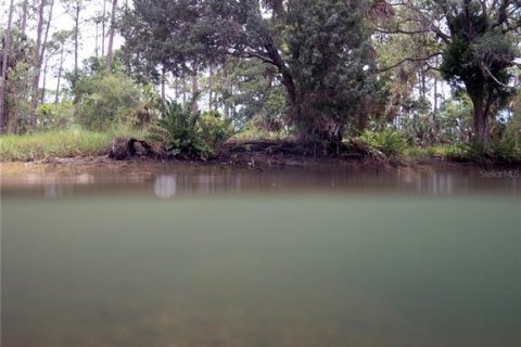 Terreno en venta en Spring Hill, Florida № 1812623 - foto 15