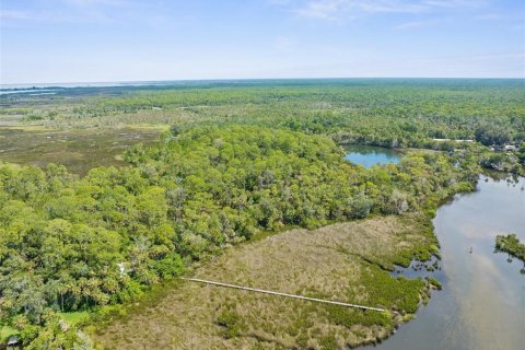 Terreno en venta en Spring Hill, Florida № 1812623 - foto 6