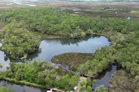Land in Spring Hill, Florida № 1812623 - photo 23
