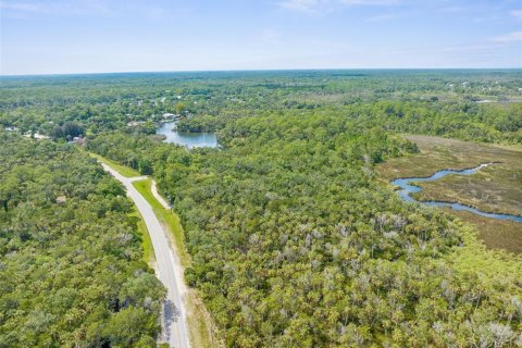 Terreno en venta en Spring Hill, Florida № 1812623 - foto 9