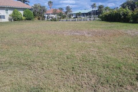 Terrain à vendre à Punta Gorda, Floride № 2237181 - photo 6