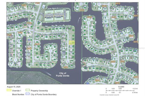 Land in Punta Gorda, Florida № 1885152 - photo 3