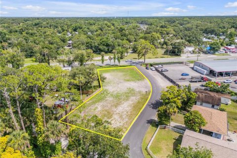 Terreno en venta en New Smyrna Beach, Florida № 1840232 - foto 3