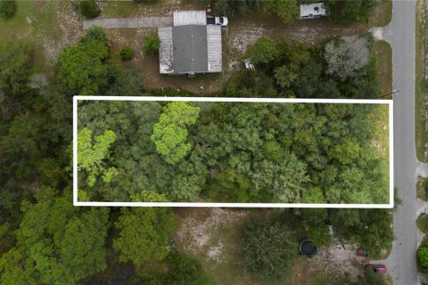 Land in Paisley, Florida № 2165907
