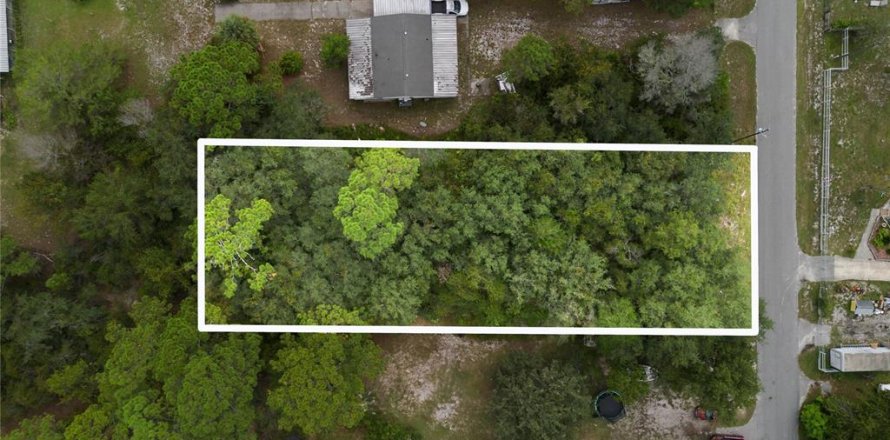 Land in Paisley, Florida № 2165907