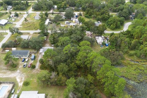 Land in Paisley, Florida № 2165907 - photo 3