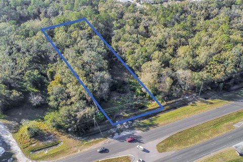 Land in Lakeland, Florida № 1545551 - photo 1