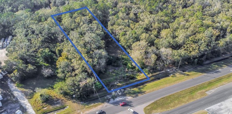 Land in Lakeland, Florida № 1545551