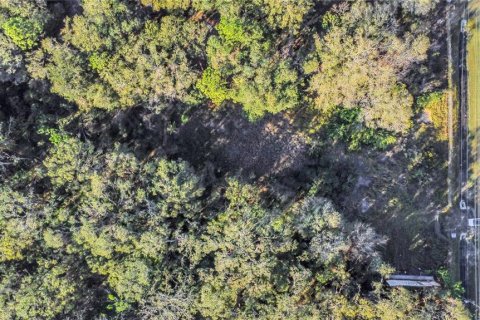 Land in Lakeland, Florida № 1545551 - photo 11