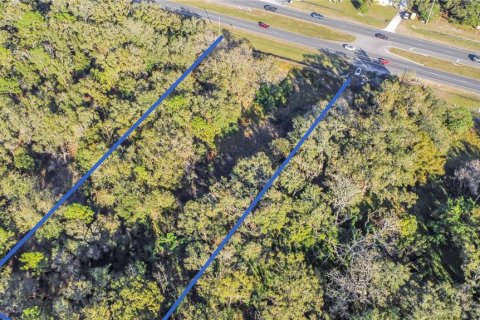 Land in Lakeland, Florida № 1545551 - photo 2
