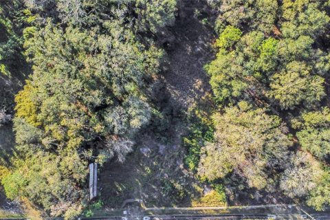Land in Lakeland, Florida № 1545551 - photo 10